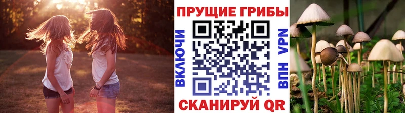 Псилоцибиновые грибы прущие грибы  Купить где  Новокубанск 